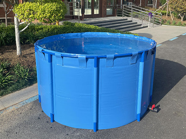 支架水池有異味和泡沫的原因分析（支架水池長綠藻該如何處理）