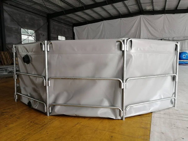 水池的水起綠色該怎么處理（支架水池的水變綠該怎么清理）