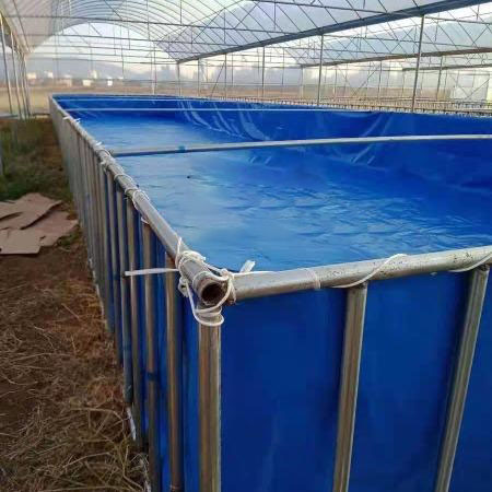 大型鋼管支架游泳池怎么安裝