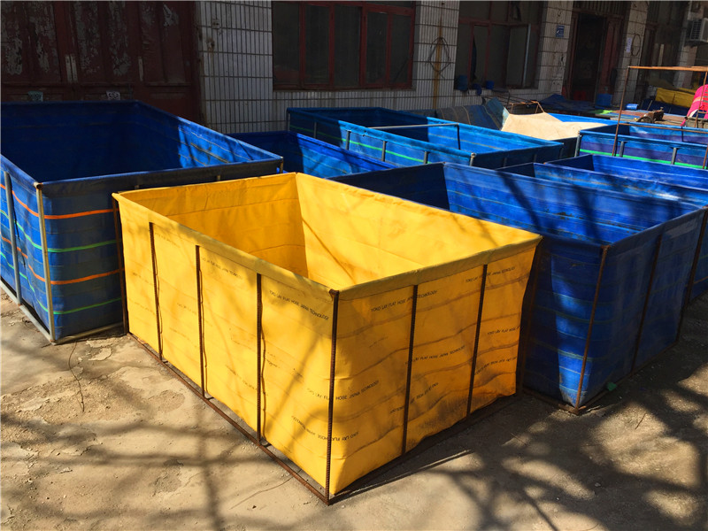 魚池養(yǎng)殖什么回報(bào)高（養(yǎng)魚池養(yǎng)魚技術(shù)）