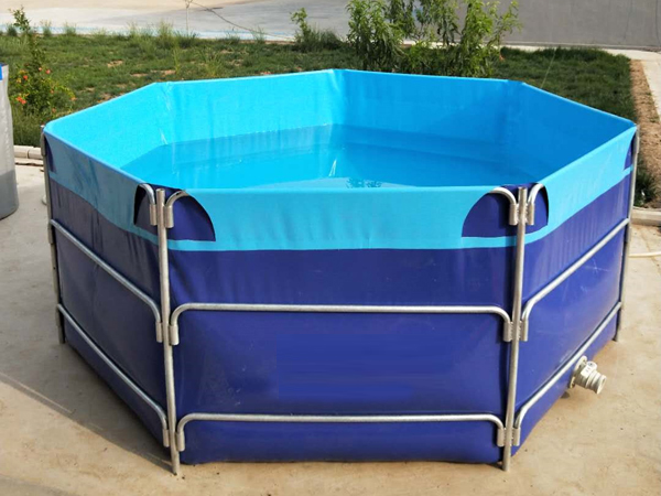 pvc夾網(wǎng)布充氣水池各種大小尺寸