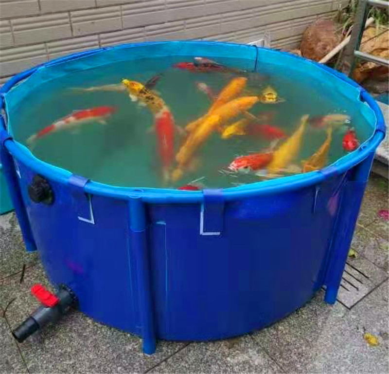 支架養(yǎng)殖魚(yú)池